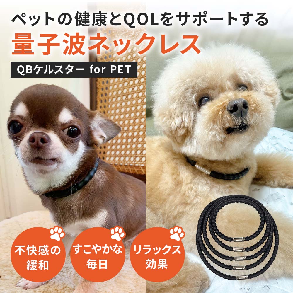 QBケルスター for PET
